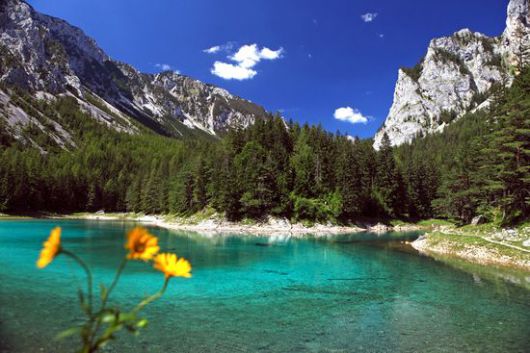 Steiermark Grün See