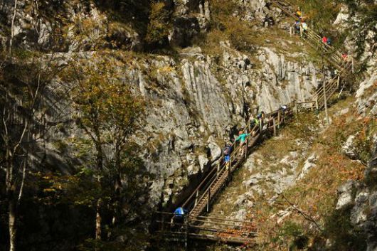 Bärenschützklamm
