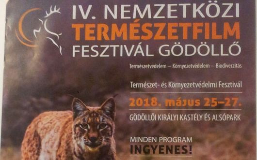 Attenborough, biodiverzitás és újrahasznosítás a Nemzetközi Természetfilm Fesztiválon