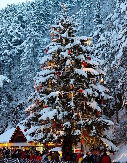 Advent Alsó-Ausztriában: amikor egy álomvilág életre kel