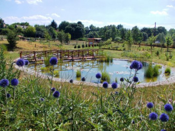 Bejárható gyógynövénykertek Magyarországon
