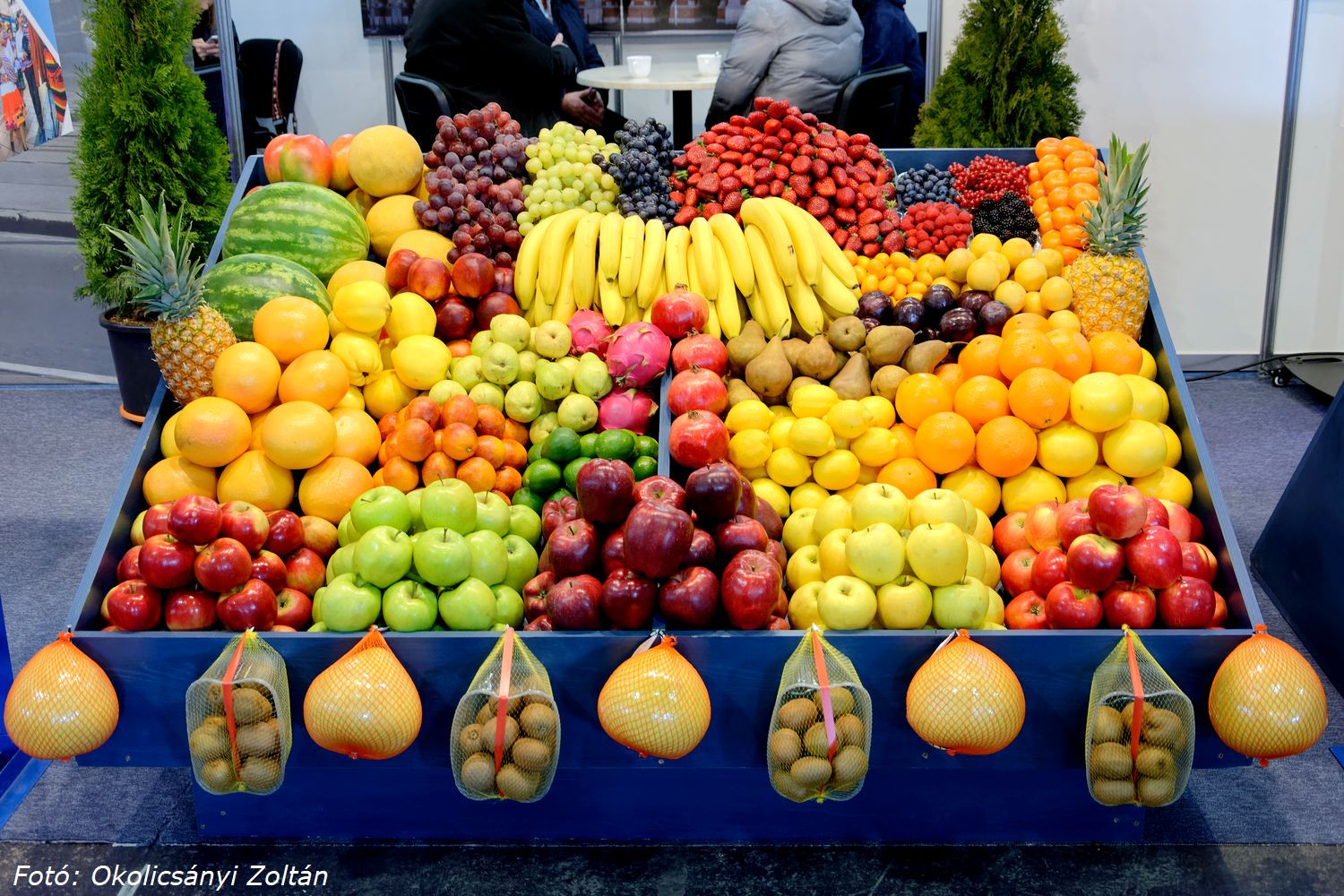 Huszonnegyedik órában a hazai zöldség- és gyümölcstermesztés