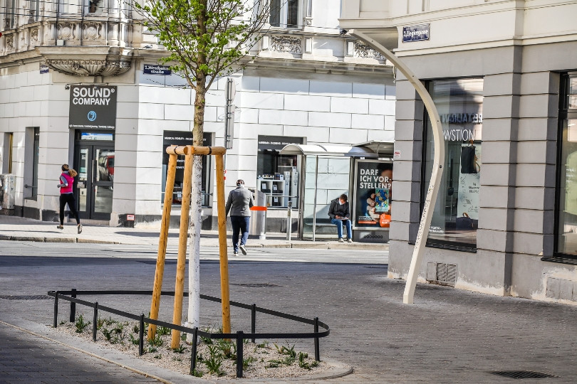 Száz új fával zöldül a bécsi Neubau kerület