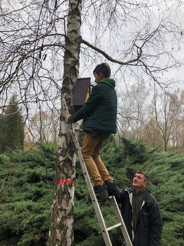 Madárodúk az arborétumban