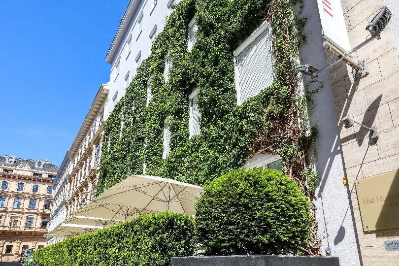 Homlokzatok, tetők és belső udvarok zöldítését is támogatja Bécs