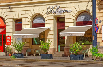 Suzan, az olasz sütemények megszállottja - A Dolcissima több mint gelato és tiramisu Suzan, az olasz sütemények megszállottja - A Dolcissima több mint gelato és tiramisu