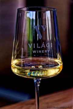 Vulkánon született borok a Világi Winery-ben Vulkánon született borok a Világi Winery-ben