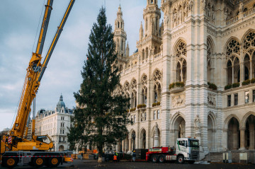 Bécsben már felállították a karácsonyfát Bécsben már felállították a karácsonyfát