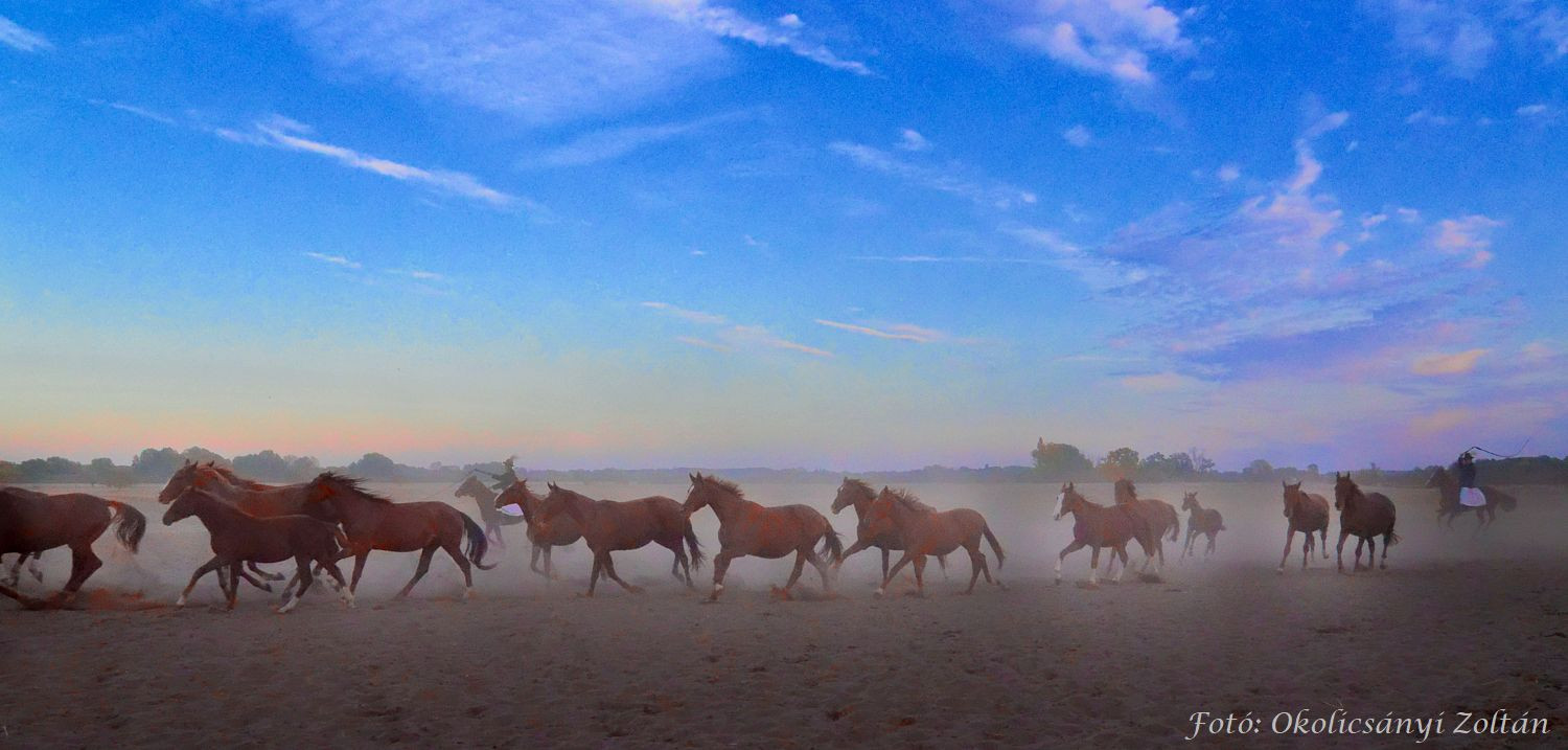 „Lenn az alföld tengersík vidékin…” „Lenn az alföld tengersík vidékin…”