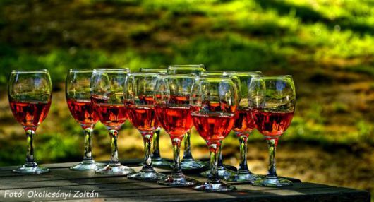 Cáki pincesor, rosé bor