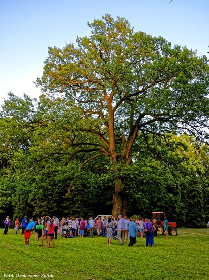 Tiszakürti Arborétum