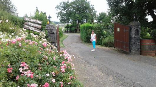 Szigliget, Szent Antal Pince