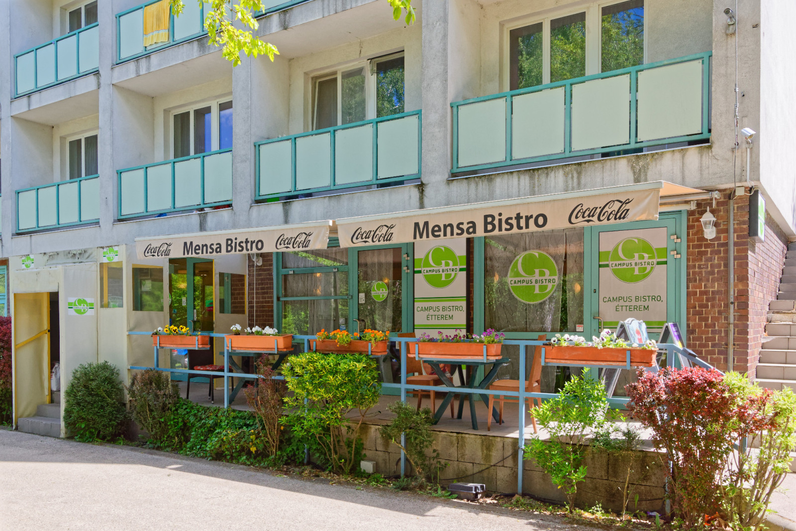 A Gödöllőn az egyetemisták ide járnak ebédelni és este hamburgerezni