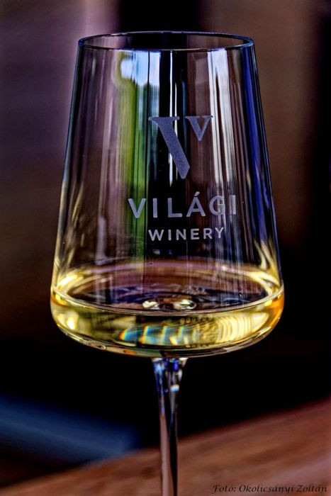 Vulkánon született borok a Világi Winery-ben