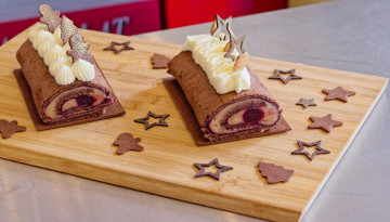 Indul Magyarország első karácsonyi fatörzs versenye