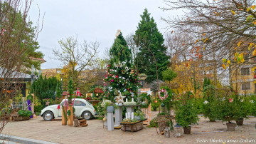 Az élménybisztrós karácsonyra díszíti a monori főteret