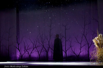 Egy hét múlva A Macskalápon premier a Centrál Színházban