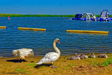 Új hagyomány születik a Tisza-tavon - Milyen is az a vízipiac?